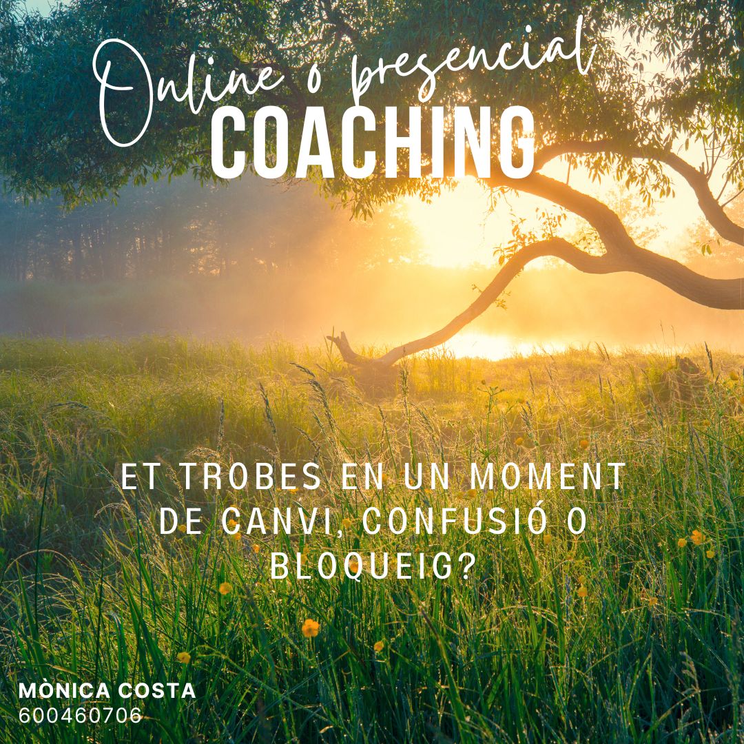Coaching presencial o online - Et trobes en un moment de canvi, confusió o bloqueig?
