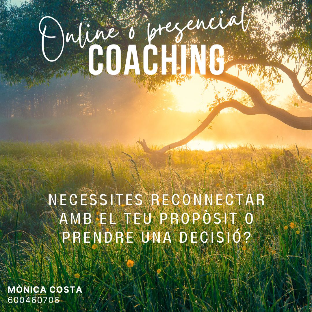 Coaching presencial o online - Necessites reconnectar amb el teu propòsit o prendre una decisió?