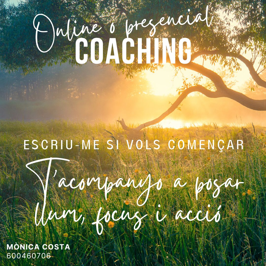 Coaching presencial o online - Escriu-me si vols començar T’acompanyo a posar llum, focus i acció