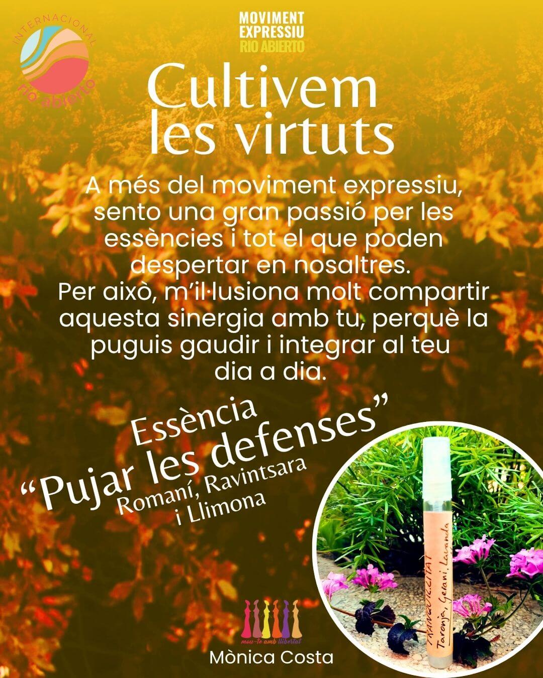 Expressió i consciència corporal Río Abierto - Vituts